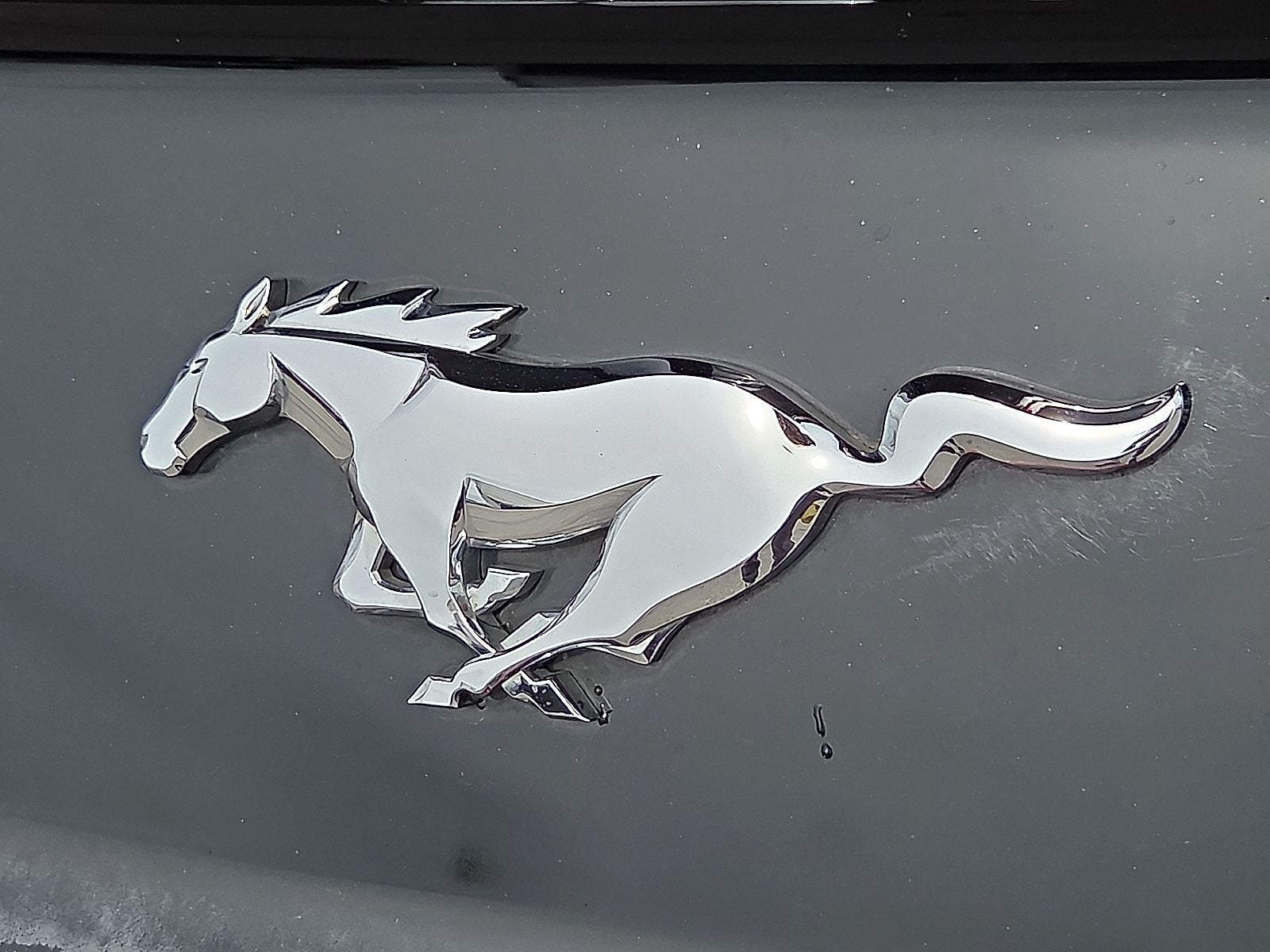 2015 Ford Mustang EcoBoost Premium