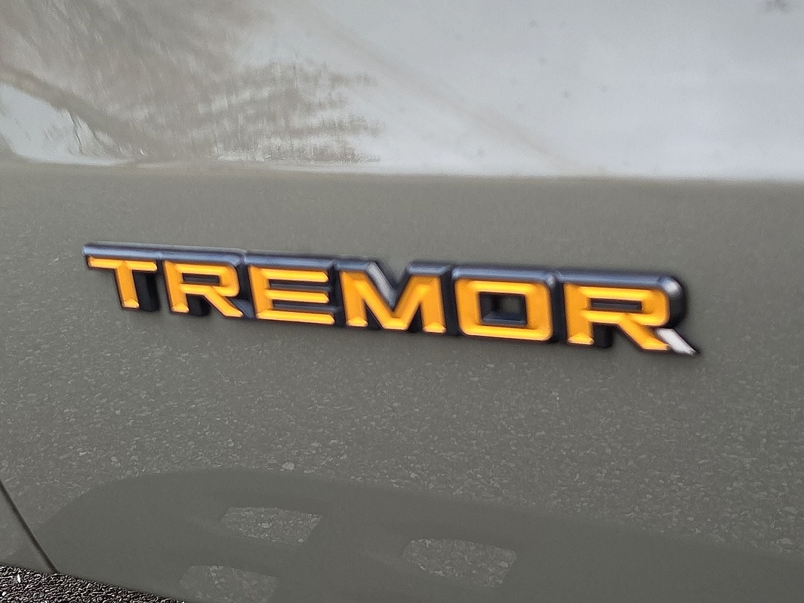 2025 Ford Expedition Tremor