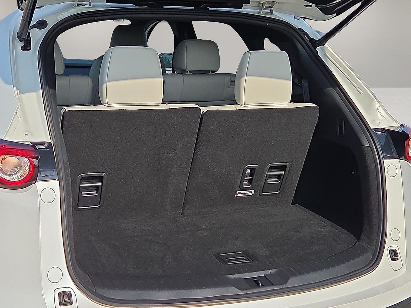 2021 Mazda Mazda CX-9 Signature