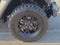 2025 Jeep Wrangler 4-Door Willys 4x4