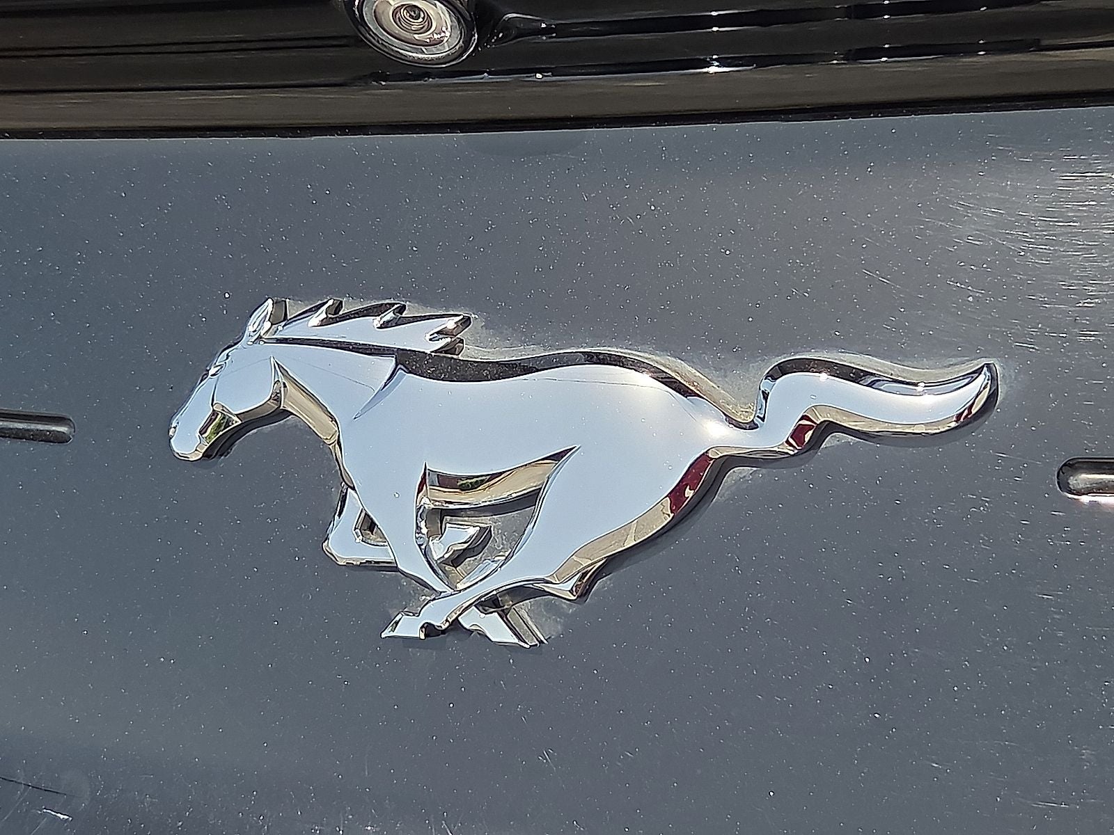 2023 Ford Mustang EcoBoost