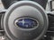2023 Subaru WRX Base
