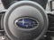 2023 Subaru WRX Base