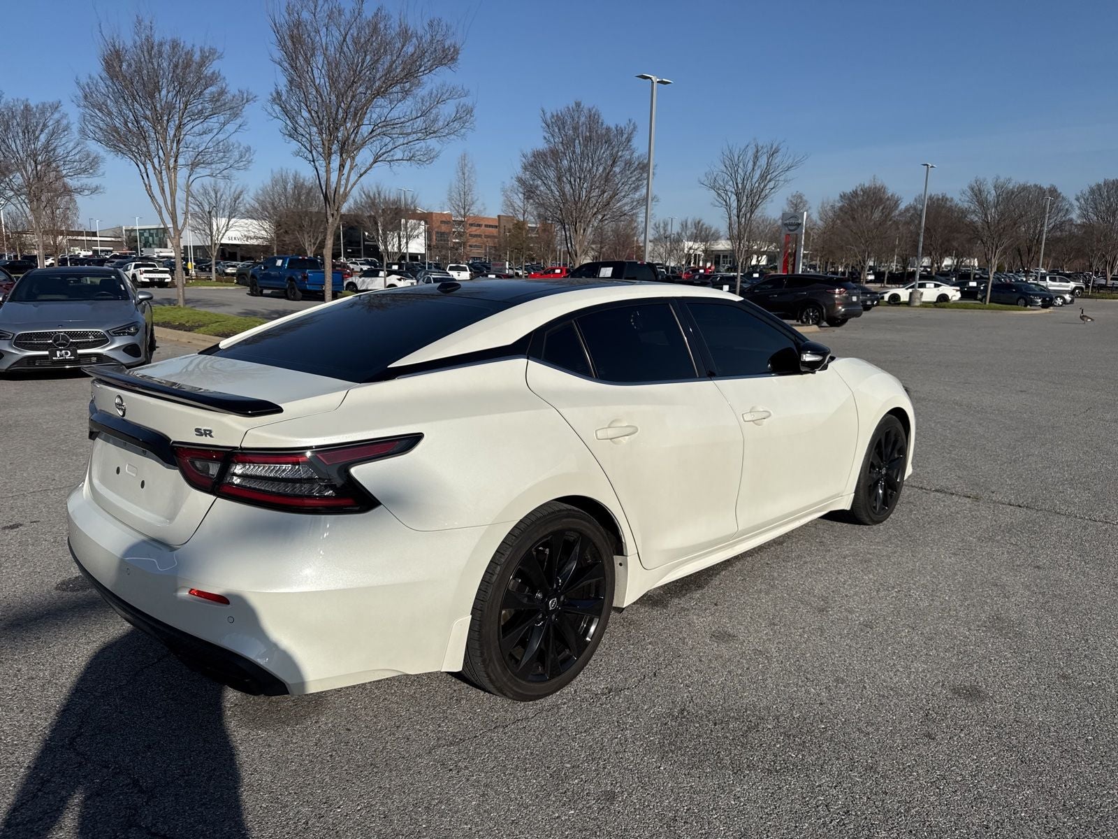 2023 Nissan Maxima SR